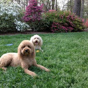 Meet your Posher, Lynne